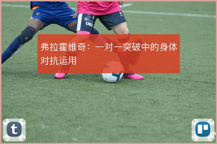 弗拉霍维奇：一对一突破中的身体对抗运用