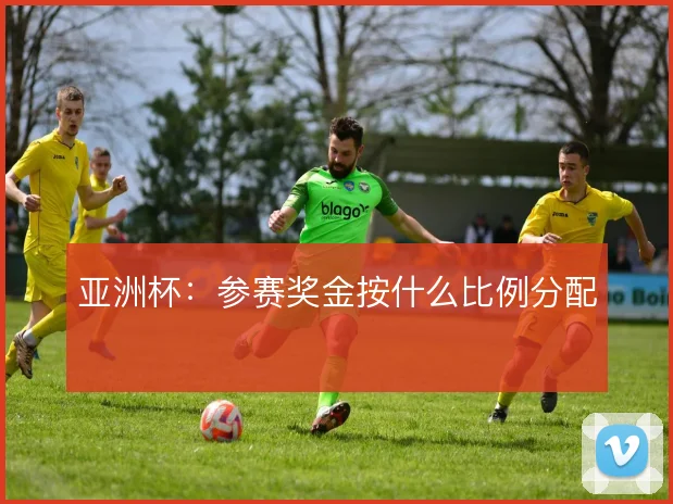 亚洲杯：参赛奖金按什么比例分配