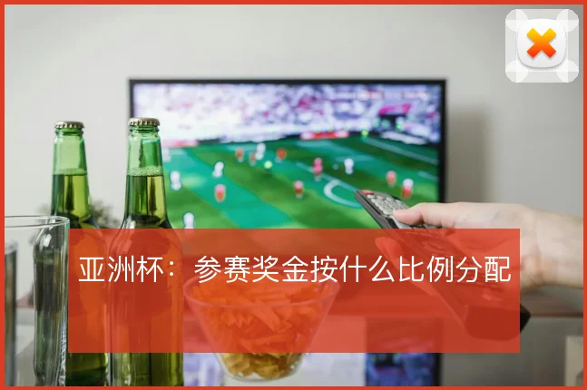 亚洲杯：参赛奖金按什么比例分配